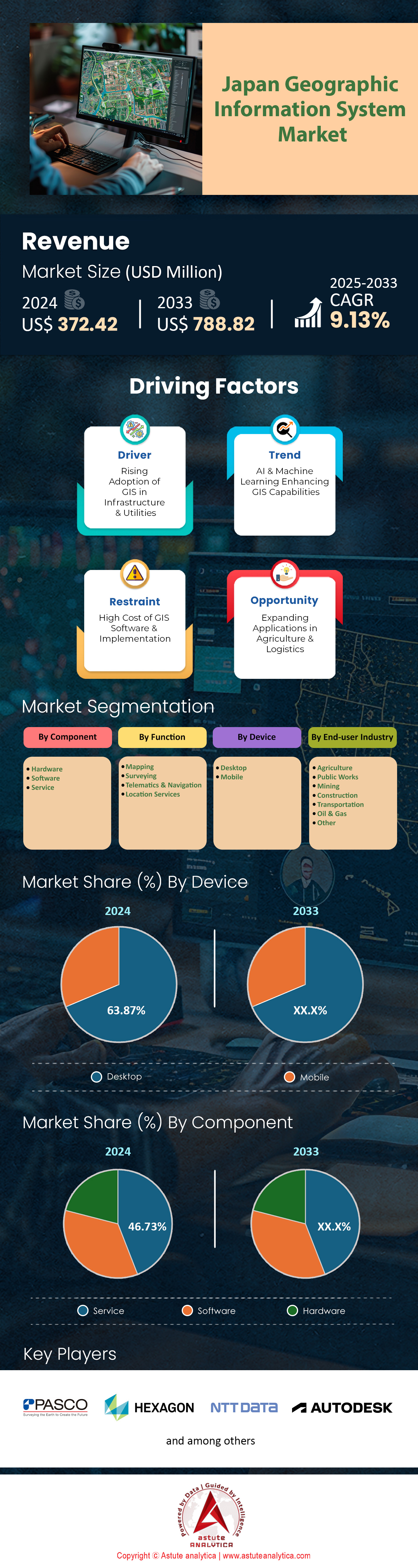 일본 지리 정보 시스템 시장